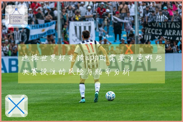 选择世界杯竞猜app时需要注意哪些决赛投注的风险与赔率分析