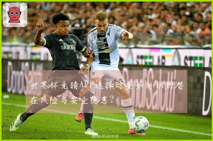 世界杯竞猜APP选择时要如何识别潜在风险与安全隐患？