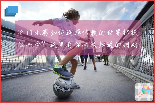 冷门比赛如何选择信赖的世界杯投注平台？这里有你必须知道的判断标准和注意事项